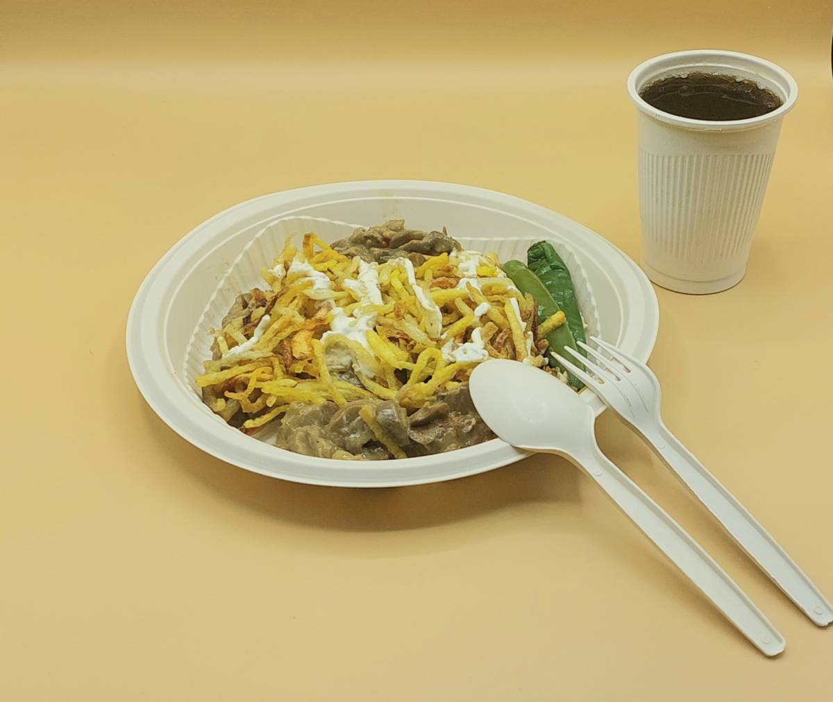 Biodegradable plate and cup