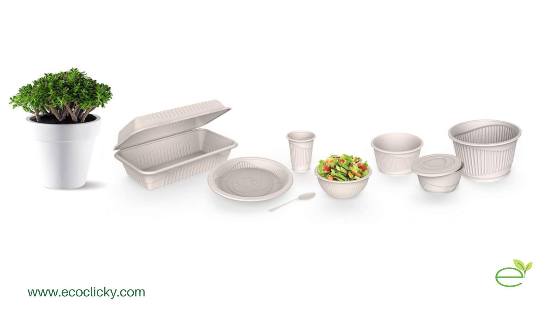 Biodegradable Tableware Market