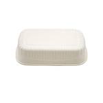Biodegradable Bento Boxes One Compartment Body Back