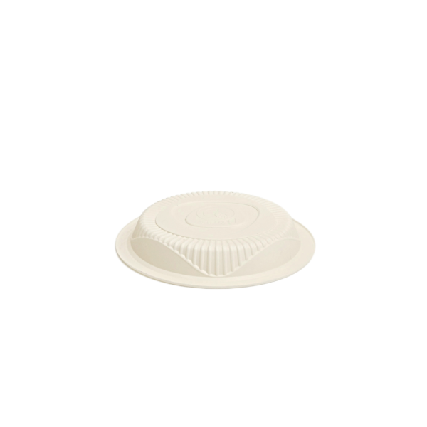 biodegradable side plate wholesale