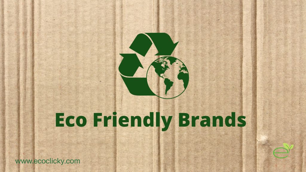 Eco Friendly Brands