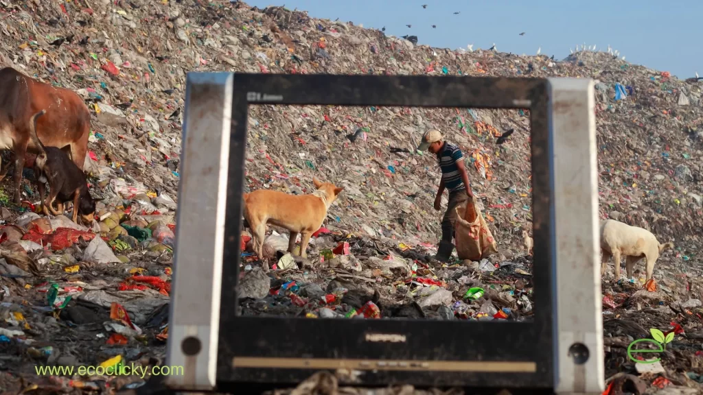Overpopulation and Plastic Waste Disposal