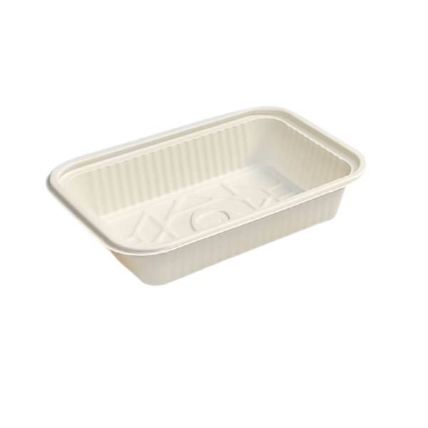 biodegradable one compartment bento box