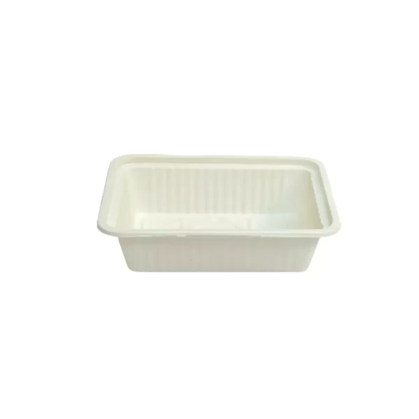 Small Biodegradable Takeaways Containers Front